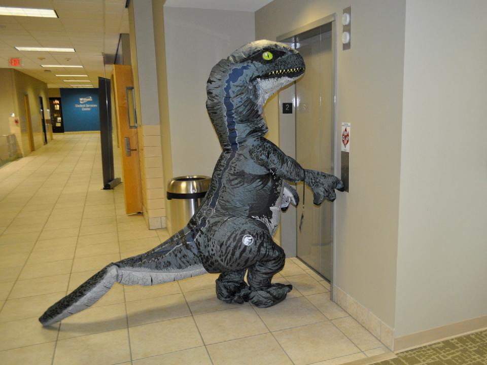 Velociraptor waiting for the elevator