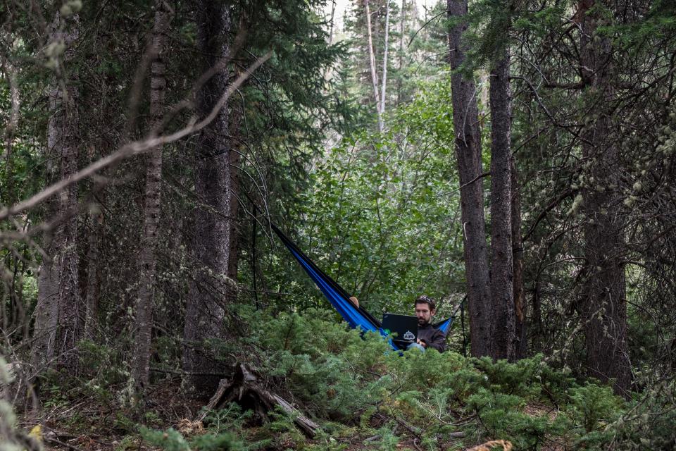Working in a hammock in a forest
